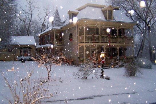 Bed & Breakfast Fallen Tree Farm