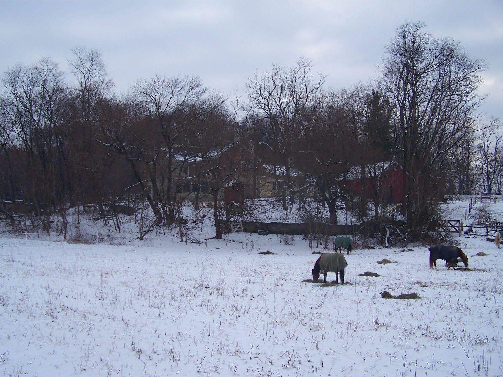 Fallen Tree Farm Bed & Breakfast 2*